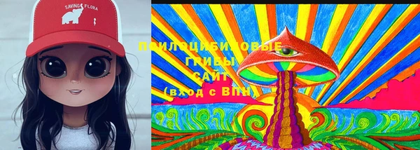 мдпв Абдулино