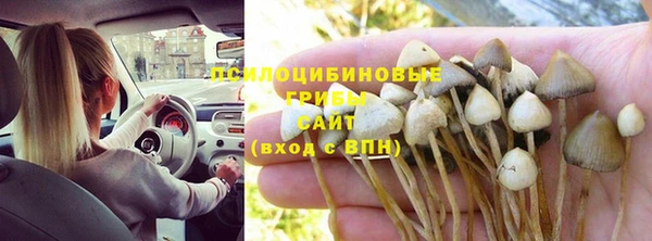 мдпв Абдулино