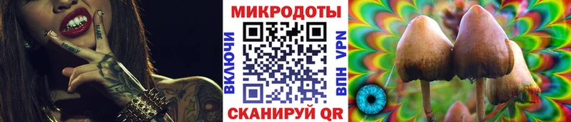 Псилоцибиновые грибы GOLDEN TEACHER  где купить наркоту  Подольск 
